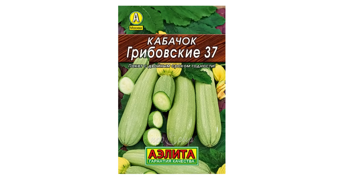 Кабачок грибовский 37 фото. Кабачок Сосновский белоплодный. Кабачок Грибовские 37. Семена кабачок Грибовские 37. Кабачок Грибовский 37 характеристика.