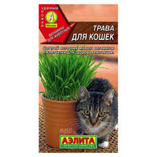 Семена Трава для кошек